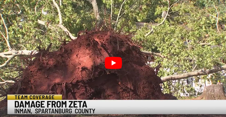 zeta storm damage