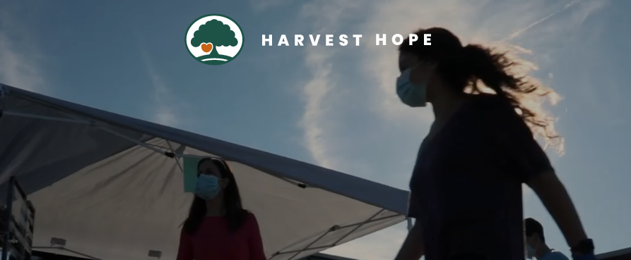 volunteer at harvest hope