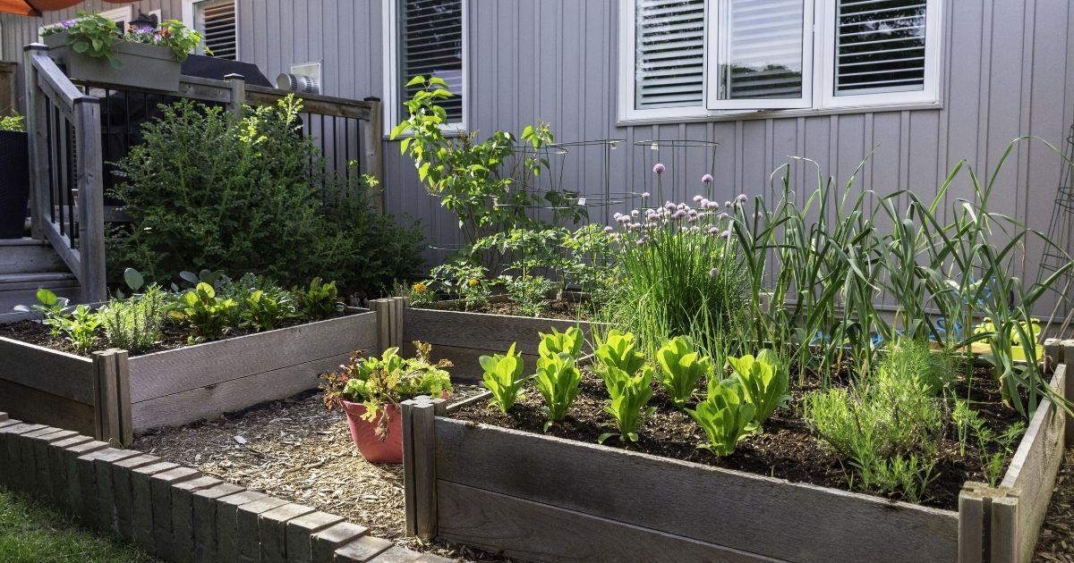 The Best Tools You Need To Manage Your Garden